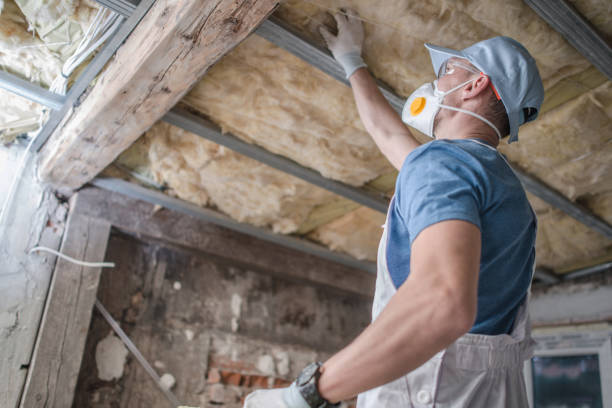 Best Cellulose Insulation in Port Ludlow, WA